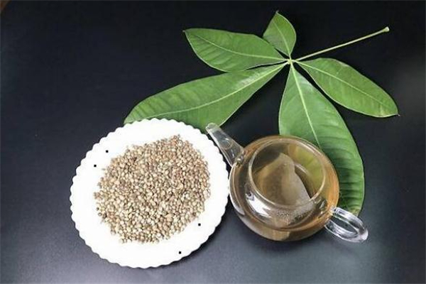 桑葚火麻茶怎么泡 桑葚火麻茶能長期喝嗎 桑葚火麻茶怎么泡 桑葚火麻茶能長期喝嗎