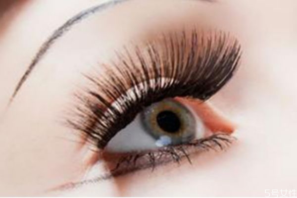 嫁接睫毛多長好看 嫁接睫毛長度怎么分配 嫁接睫毛多長好看 嫁接睫毛長度怎么分配
