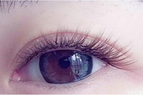 嫁接睫毛后怎么畫眼線才好看 嫁接完睫毛怎么畫眼影 嫁接睫毛后怎么畫眼線才好看 嫁接完睫毛怎么畫眼影