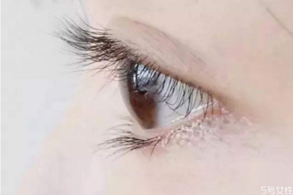 嫁接睫毛多長好看 嫁接睫毛長度怎么分配 嫁接睫毛多長好看 嫁接睫毛長度怎么分配