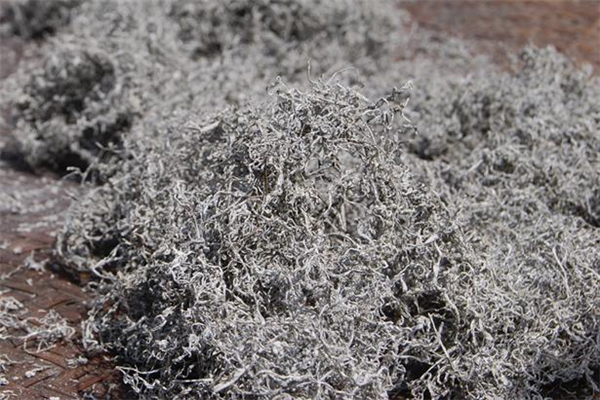 莓茶什么人不適合喝 莓茶適合什么人喝 莓茶什么人不適合喝 莓茶適合什么人喝