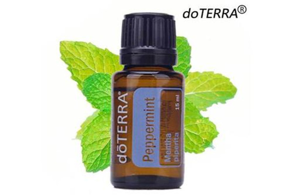 多特瑞椒樣薄荷精油主要成分 多特瑞椒樣薄荷精油使用方法 多特瑞椒樣薄荷精油主要成分 多特瑞椒樣薄荷精油使用方法