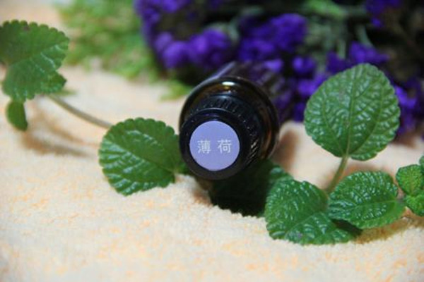 多特瑞椒樣薄荷精油主要成分 多特瑞椒樣薄荷精油使用方法 多特瑞椒樣薄荷精油主要成分 多特瑞椒樣薄荷精油使用方法