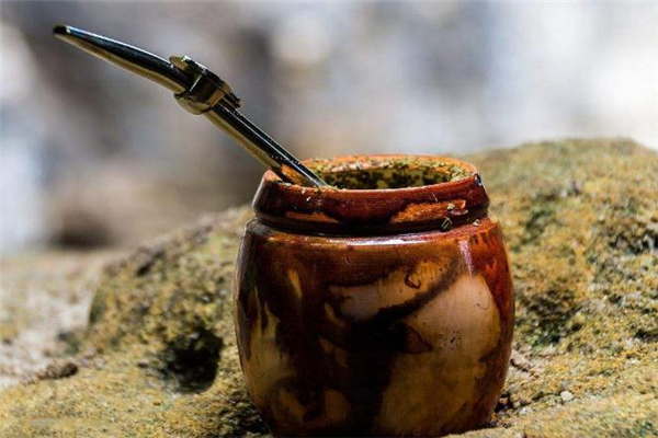 馬黛茶的功效與作用 馬黛茶可以治狐臭嗎 馬黛茶的功效與作用 馬黛茶可以治狐臭嗎