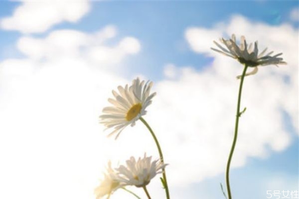 老公出軌了你會(huì)徹底原諒嗎 老公出軌怎么辦該不該原諒 老公出軌了你會(huì)徹底原諒嗎 老公出軌怎么辦該不該原諒