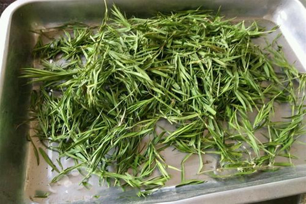 女性喝石竹茶的好處 月經(jīng)期能喝石竹茶嗎 女性喝石竹茶的好處 月經(jīng)期能喝石竹茶嗎