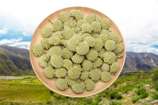 綠蘿花茶可以長(zhǎng)期喝嗎 綠蘿花茶可以減肥嗎 綠蘿花茶可以長(zhǎng)期喝嗎 綠蘿花茶可以減肥嗎