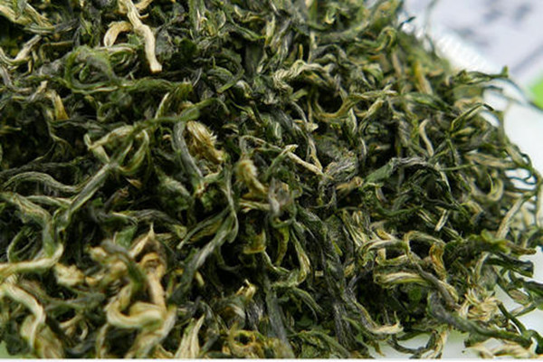 什么人適合喝仁化白毛茶 喝仁化白毛茶的禁忌 什么人適合喝仁化白毛茶 喝仁化白毛茶的禁忌