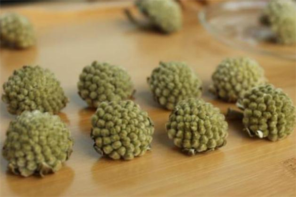 綠蘿花茶是什么 綠蘿花茶是涼性還是熱性 綠蘿花茶是什么 綠蘿花茶是涼性還是熱性