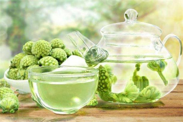 綠蘿花茶是什么味道 綠蘿花茶苦嗎 綠蘿花茶是什么味道 綠蘿花茶苦嗎