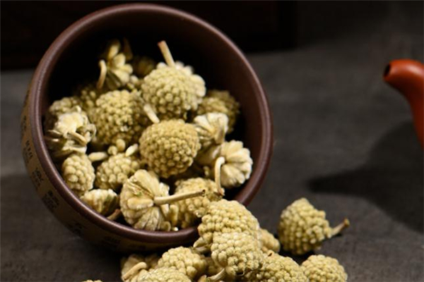 綠蘿花茶喝多了傷腎嗎 綠蘿花茶喝了上火嗎 綠蘿花茶喝多了傷腎嗎 綠蘿花茶喝了上火嗎