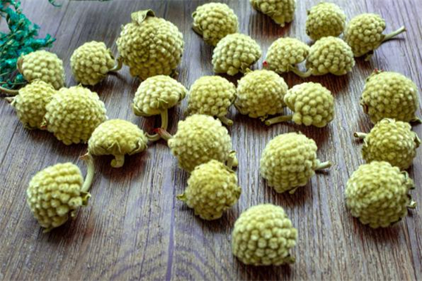 綠蘿花茶每天喝多少 綠蘿花茶可以加冰糖嗎 綠蘿花茶每天喝多少 綠蘿花茶可以加冰糖嗎