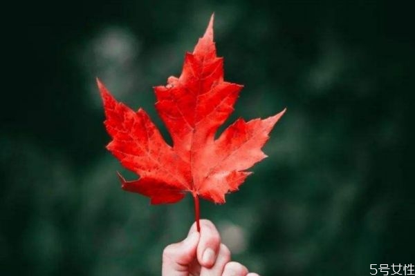 怎樣挽留一個(gè)人別走 挽留一個(gè)人的方法 怎樣挽留一個(gè)人別走 挽留一個(gè)人的方法