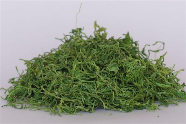 龍須茶是什么茶 龍須茶的功效與作用 龍須茶是什么茶 龍須茶的功效與作用