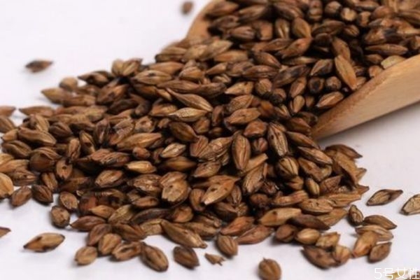 喝大麥茶可以回奶嗎 大麥茶有回奶的功效嗎 喝大麥茶可以回奶嗎 大麥茶有回奶的功效嗎