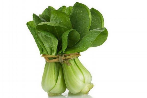 上海青有什么營養(yǎng)價值 吃上海青的好處有什么 上海青有什么營養(yǎng)價值 吃上海青的好處有什么