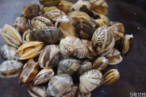 清洗花甲的方法 如何快速清洗花甲 清洗花甲的方法 如何快速清洗花甲