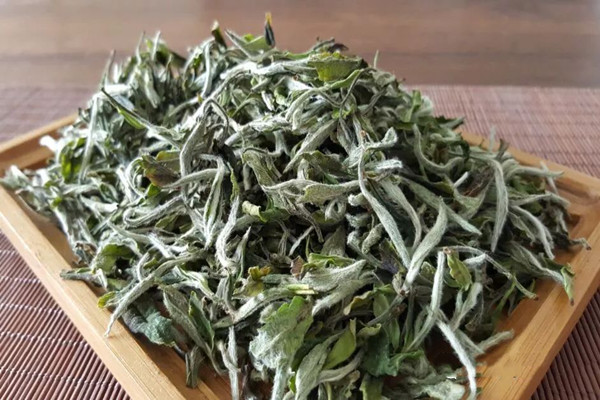 白牡丹茶要泡多久 怎么挑選白牡丹茶 白牡丹茶要泡多久 怎么挑選白牡丹茶