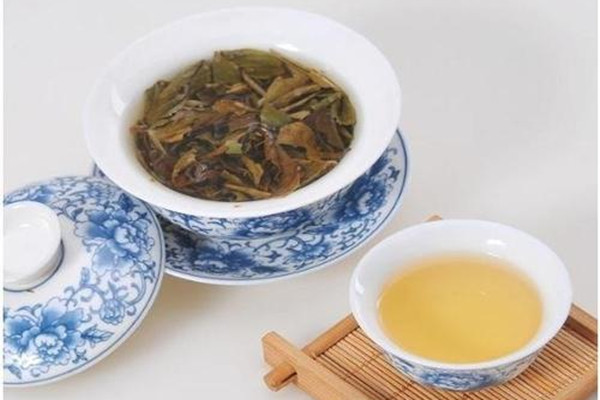 夏天喝白牡丹茶的好處 女性喝白牡丹茶的好處 夏天喝白牡丹茶的好處 女性喝白牡丹茶的好處