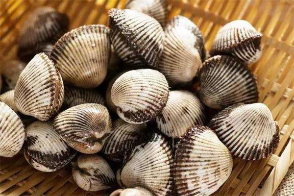 毛蚶吃多了會(huì)怎么樣 吃毛蚶會(huì)得甲肝嗎 毛蚶吃多了會(huì)怎么樣 吃毛蚶會(huì)得甲肝嗎