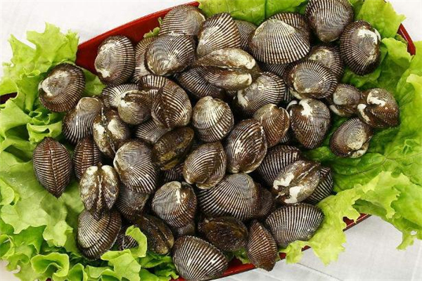 毛蚶生吃怎么吃 毛蚶生吃處理方法 毛蚶生吃怎么吃 毛蚶生吃處理方法