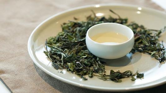 政和白茶產(chǎn)于哪個地方 政和白茶的功效 政和白茶產(chǎn)于哪個地方 政和白茶的功效