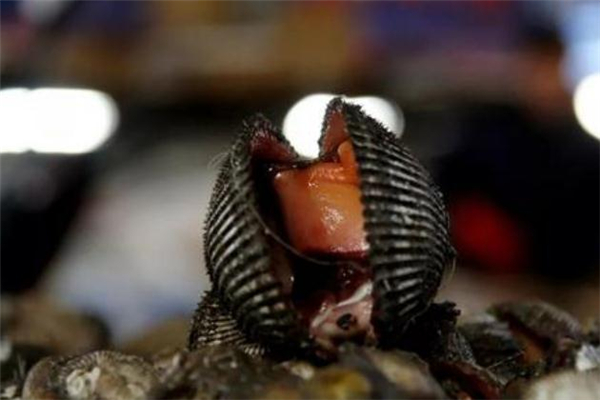 血蚶的做法 血蚶怎么做好吃 血蚶的做法 血蚶怎么做好吃