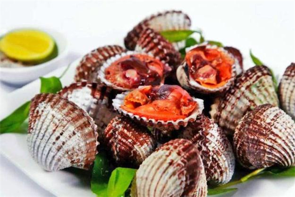 血蚶怎么保存 血蚶可以放過夜嗎 血蚶怎么保存 血蚶可以放過夜嗎