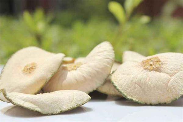 瘦瘦果的功效與作用 瘦瘦果泡水禁忌 瘦瘦果的功效與作用 瘦瘦果泡水禁忌