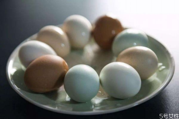 挑選鵝蛋的方法 應(yīng)該怎么挑選鵝蛋 挑選鵝蛋的方法 應(yīng)該怎么挑選鵝蛋