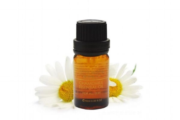 洋甘菊精油有什么功效 洋甘菊精油有什么作用 洋甘菊精油有什么功效 洋甘菊精油有什么作用