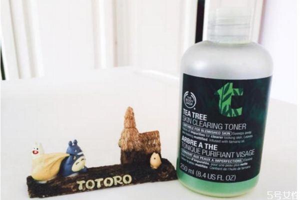 痘痘肌膚使用什么類型水乳 什么水乳適合痘痘肌膚 痘痘肌膚使用什么類型水乳 什么水乳適合痘痘肌膚