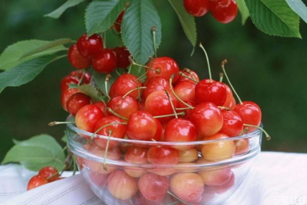 櫻桃酒的簡單泡法 櫻桃酒應該怎么泡 櫻桃酒的簡單泡法 櫻桃酒應該怎么泡