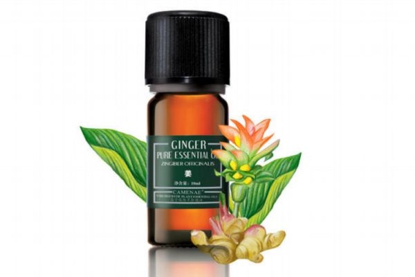 生姜精油有什么作用 生姜精油的功效有什么 生姜精油有什么作用 生姜精油的功效有什么