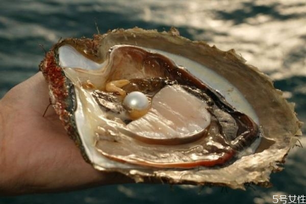 珍珠粉去除黑頭的具體做法 珍珠粉如何去除黑頭 珍珠粉去除黑頭的具體做法 珍珠粉如何去除黑頭