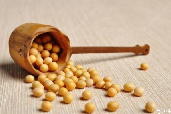 干豆和濕豆打豆?jié){的區(qū)別 干豆和濕豆打豆?jié){的不同 干豆和濕豆打豆?jié){的區(qū)別 干豆和濕豆打豆?jié){的不同