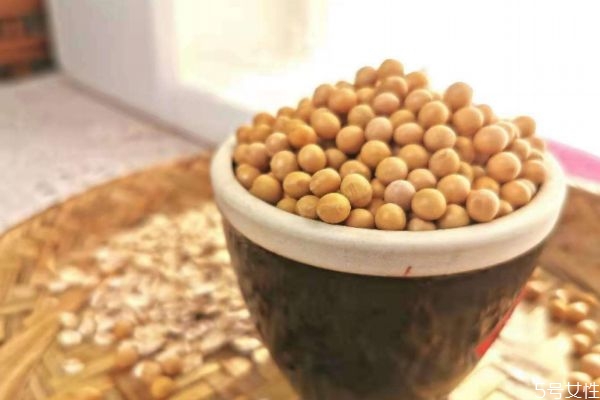 干豆和濕豆打豆?jié){的區(qū)別 干豆和濕豆打豆?jié){的不同 干豆和濕豆打豆?jié){的區(qū)別 干豆和濕豆打豆?jié){的不同