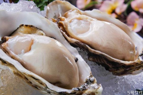 生蠔什么地方不能吃 生蠔哪些部位不能吃 生蠔什么地方不能吃 生蠔哪些部位不能吃