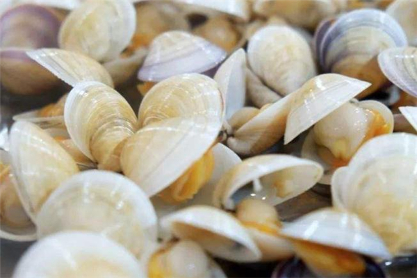 海蚌的做法 海蚌怎么做好吃 海蚌的做法 海蚌怎么做好吃
