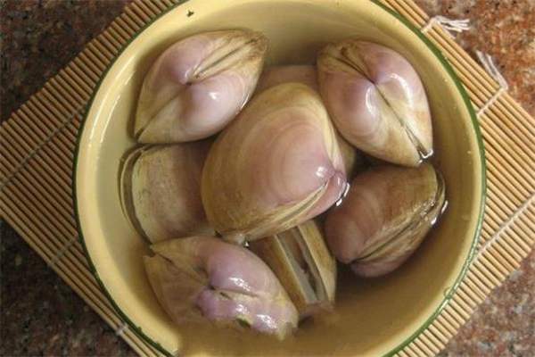 海蚌怎么清洗 海蚌和河蚌有什么區(qū)別 海蚌怎么清洗 海蚌和河蚌有什么區(qū)別