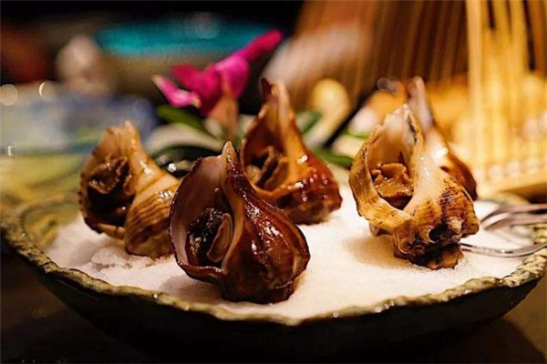 海螺可以蒸著吃嗎 清蒸海螺的做法 海螺可以蒸著吃嗎 清蒸海螺的做法