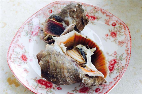 海螺可以蒸著吃嗎 清蒸海螺的做法 海螺可以蒸著吃嗎 清蒸海螺的做法