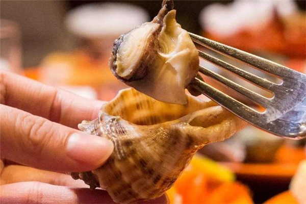 海螺不能和什么一起吃 海螺內臟可以吃嗎 海螺不能和什么一起吃 海螺內臟可以吃嗎
