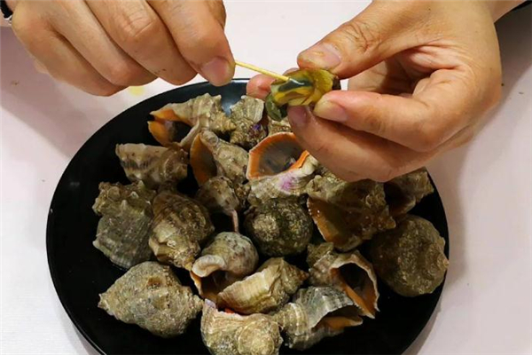 海螺不能和什么一起吃 海螺內臟可以吃嗎 海螺不能和什么一起吃 海螺內臟可以吃嗎