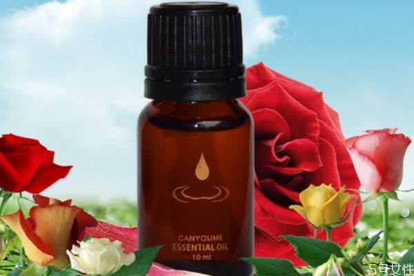 玫瑰精油對臉部的作用 玫瑰精油對臉部的功效 玫瑰精油對臉部的作用 玫瑰精油對臉部的功效