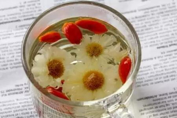 枸杞菊花茶的作用 菊花枸杞茶怎么泡 枸杞菊花茶的作用 菊花枸杞茶怎么泡