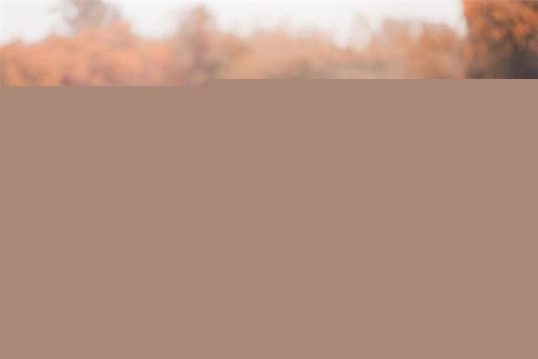 原生家庭不好的女人容易嫁渣男嗎 原生家庭不好能遠(yuǎn)嫁嗎