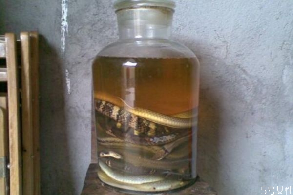 蛇酒有什么功效 蛇酒的作用有什么 蛇酒有什么功效 蛇酒的作用有什么