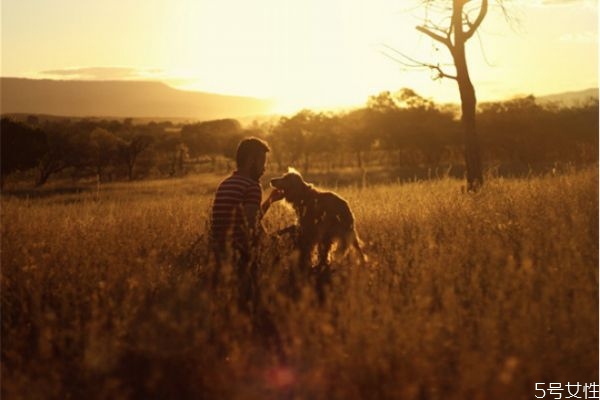 婚姻三觀不合怎么處理 婚姻不合適怎么辦 婚姻三觀不合怎么處理 婚姻不合適怎么辦
