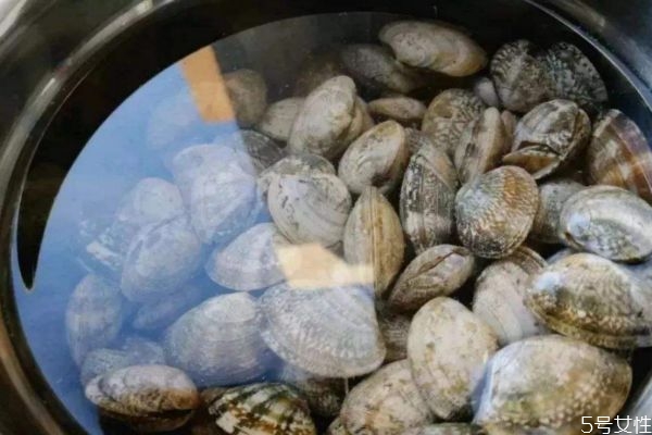 怎么判斷花甲死沒(méi)死 判斷花甲死沒(méi)死的方法 怎么判斷花甲死沒(méi)死 判斷花甲死沒(méi)死的方法